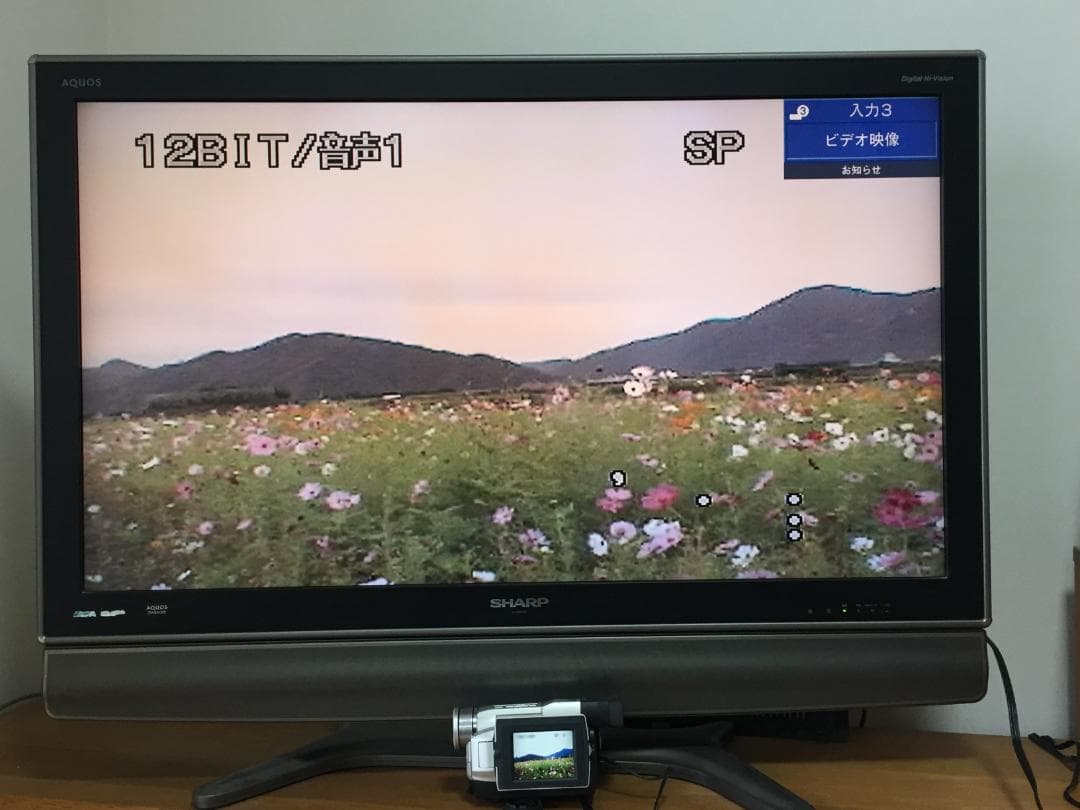 美品 撮影再生ダビングOK　VICTOR　GR-DVA10　付属品あり　大画面