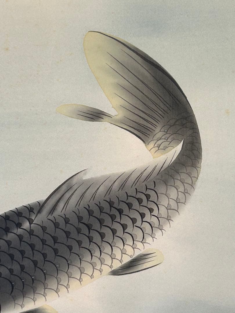 夫婦鯉」 柳原遊子 掛け軸 掛軸 共箱あり 真筆証明書付き