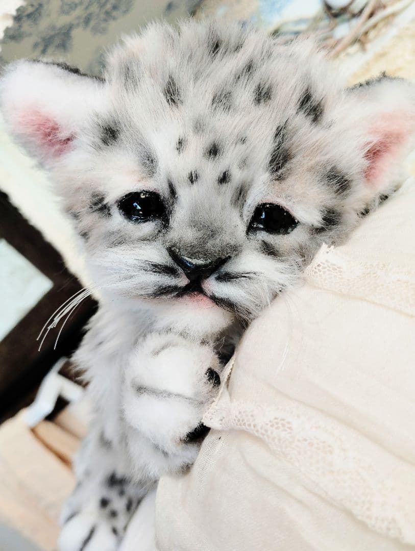 ユキヒョウベビー♡赤ちゃん♡アートドール♡ぬいぐるみ♡