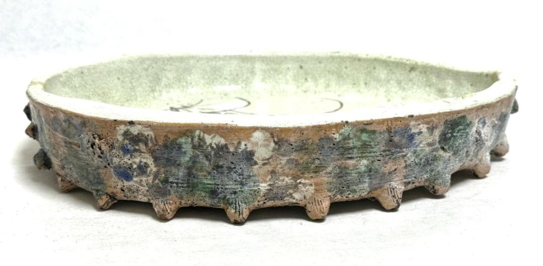 古美術 大振り鮑貝形水盤 花器 華道具 ウブ品 日本古玩 伝世