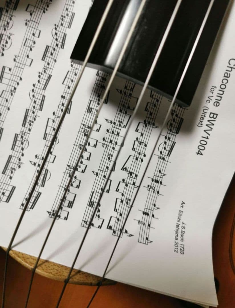 【チェロ】マグナコア 使用１ヶ月 まだまだ使用出来ます