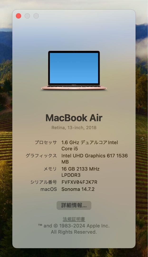 美品❗️MacBook Air 2018ゴールド i5 256GB USキー MacBook Air M3