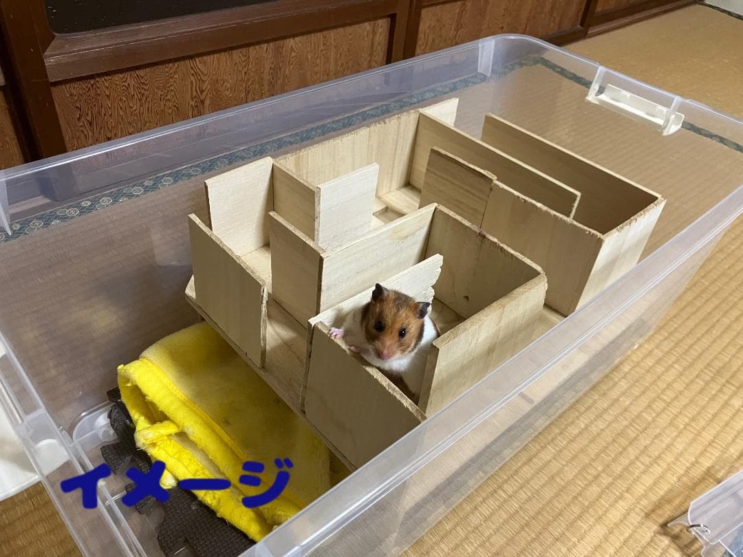 ③広さ＆通気性＆保温性抜群なハムスターケージ【DIY】給水器付 - メルカリ