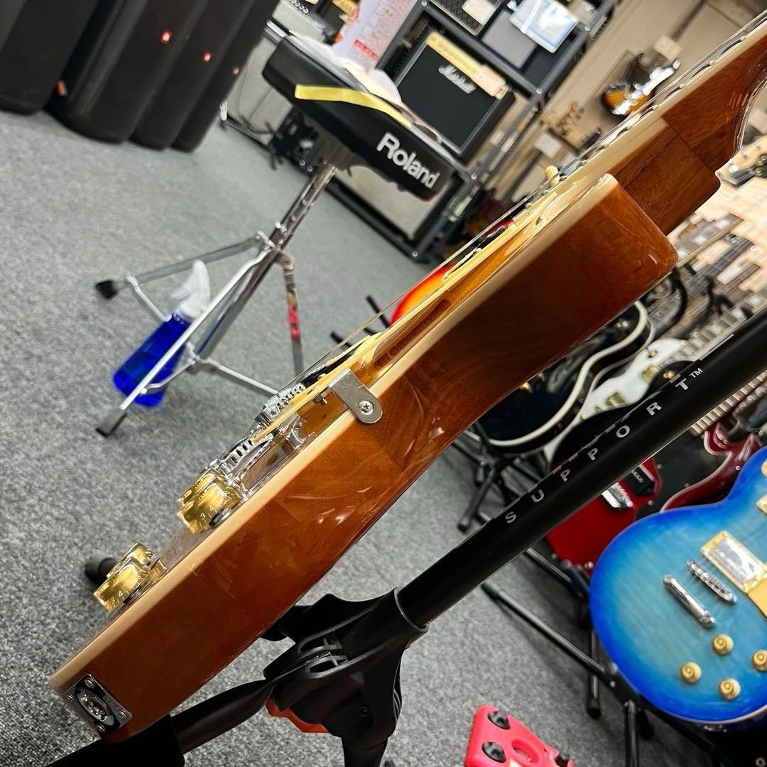 11086】bacchus LIVE ROAD MODEL GOLD TOP