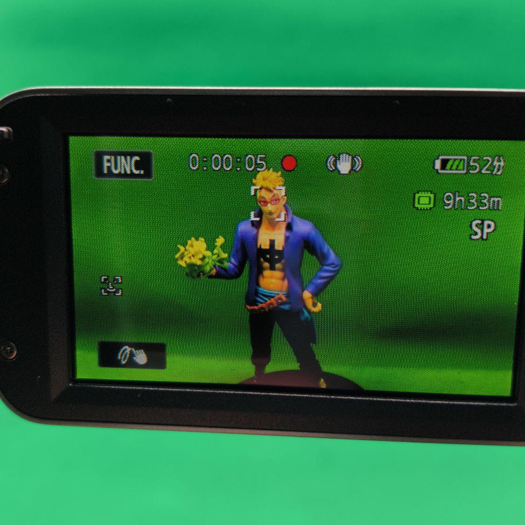 【付属品完備】Canon キヤノン iVIS HF R21