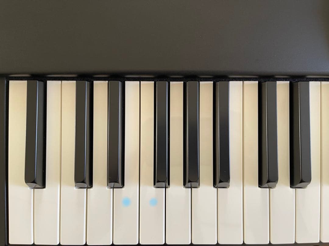 issei igarashiページ　直接受け渡しの為他の方はご遠慮願います