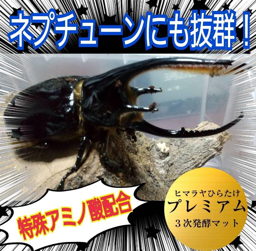 ケンタウルスにも抜群！ 極上！プレミアム3次発酵カブトムシマット【40
