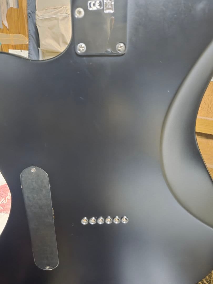 Fender USA ジャズマスター　ジムルート シグネチャー