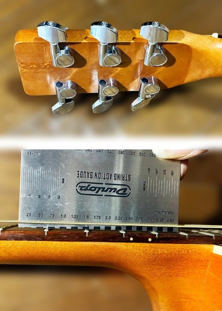 Art&Lutherie Folk Cedar Sunrise 試聴動画有り 2005 Art & Lutherie