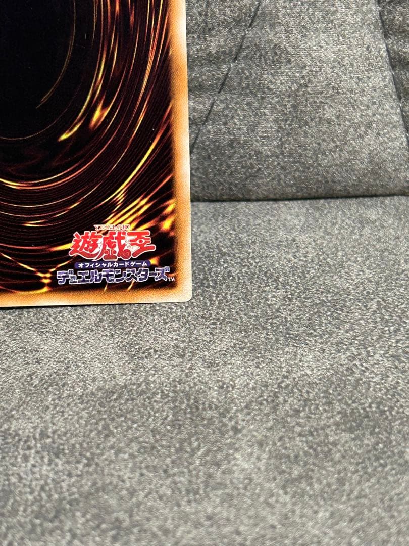 s*u様 ブラック・ローズ・ドラゴン レリーフ　美品