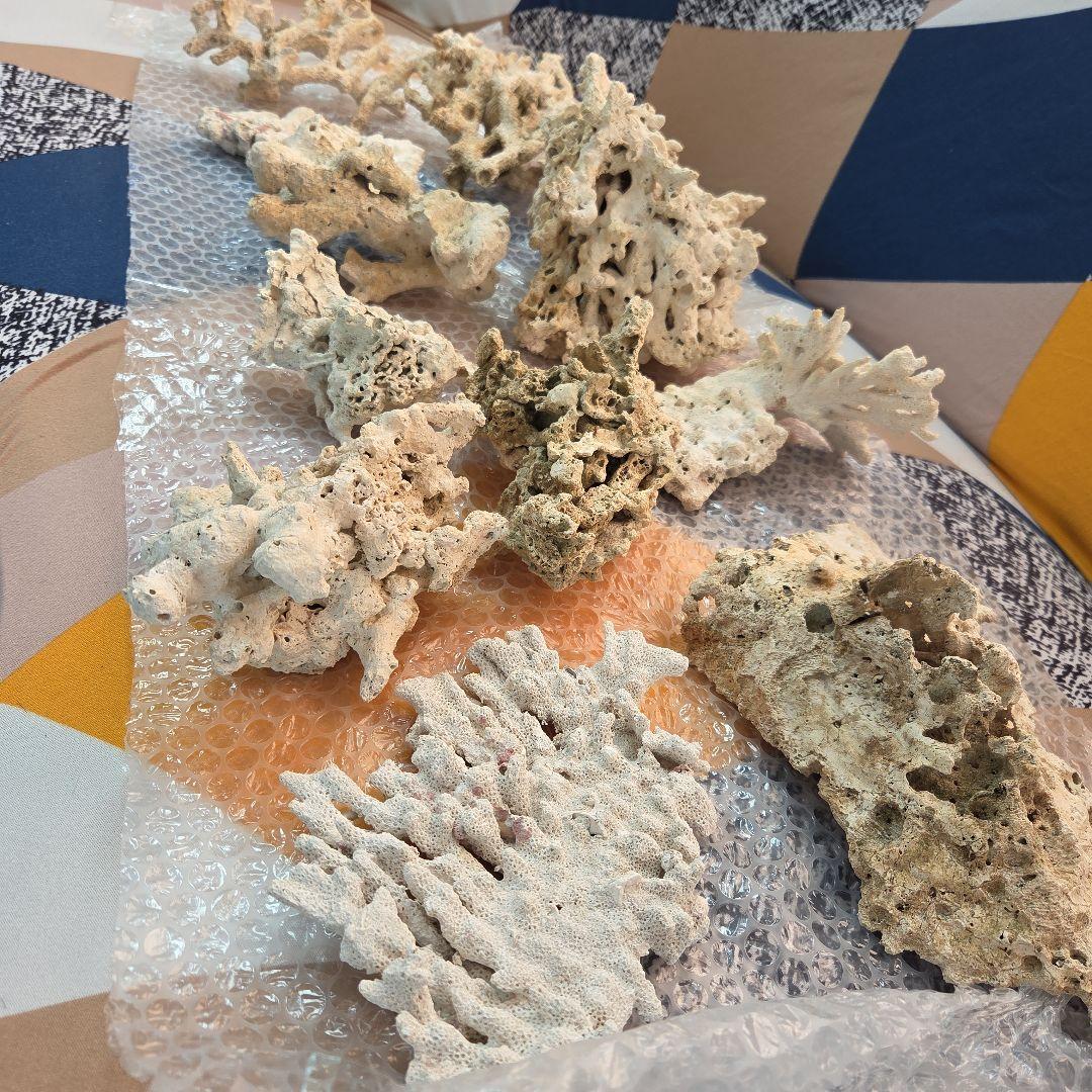 値下げ 水槽用サンゴ石セット ライブロック 海水 淡水