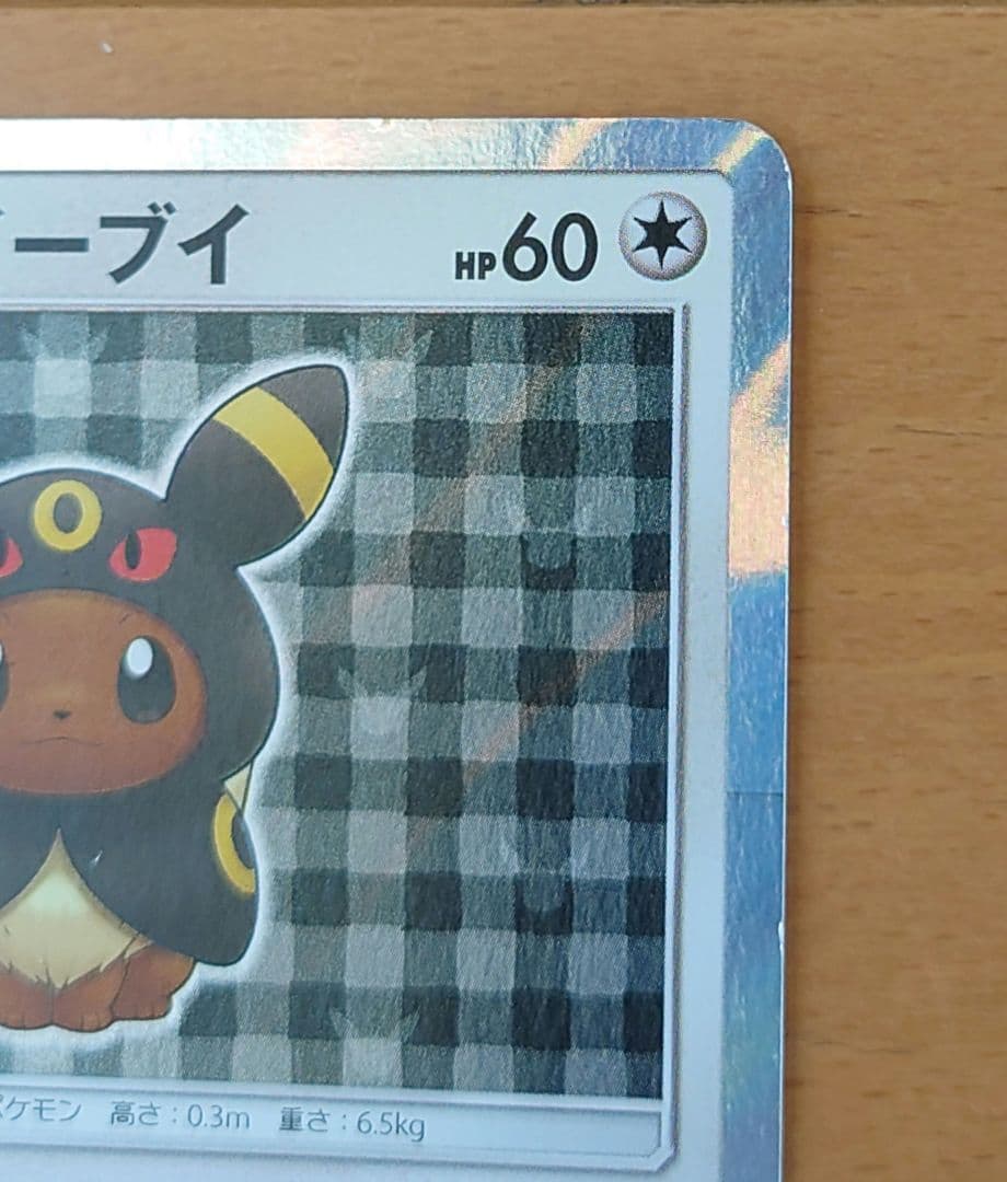 ポンチョを着たイーブイ ブラッキー プロモ