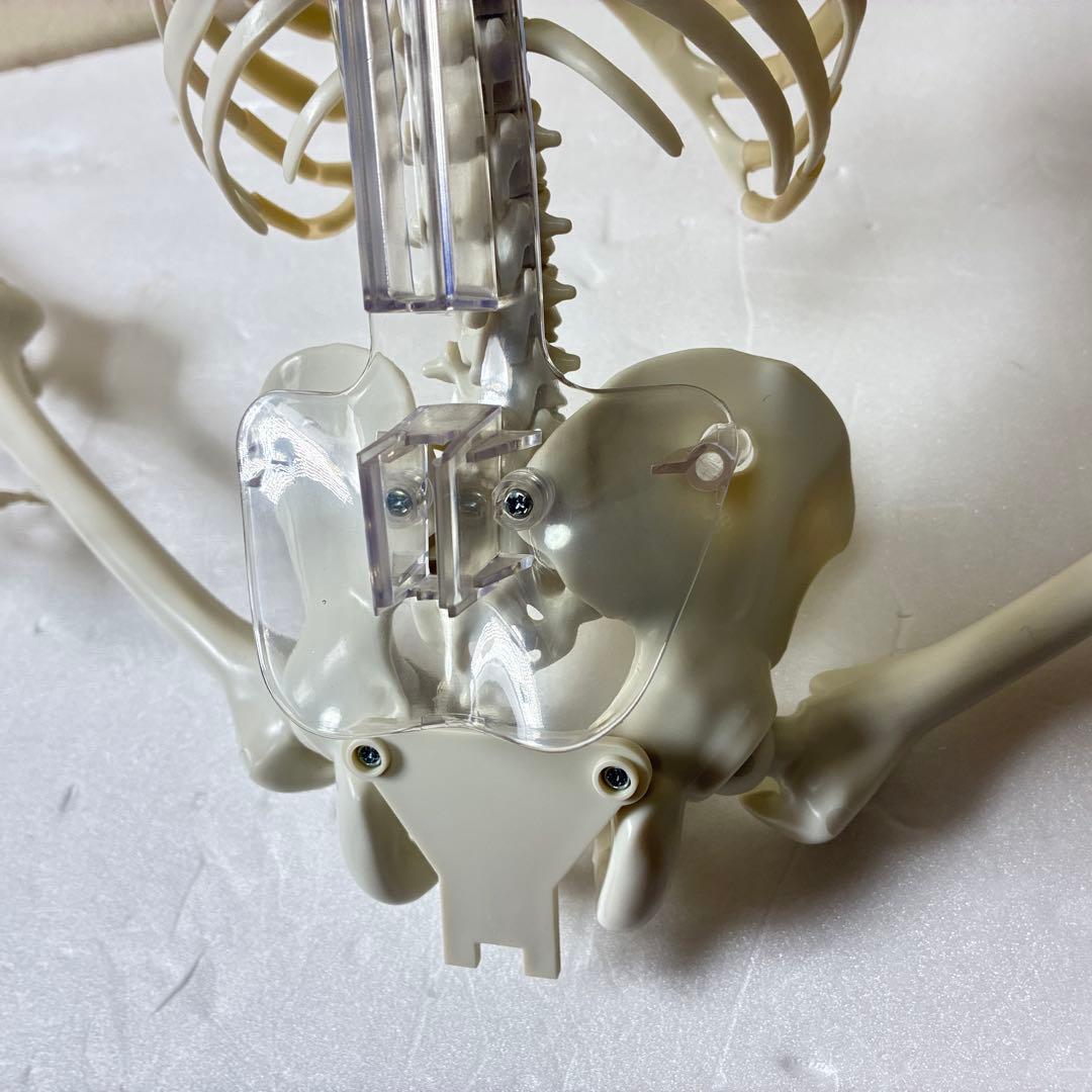 デアゴスティーニ　おしゃべりガイコツ　ホネッキー1～70