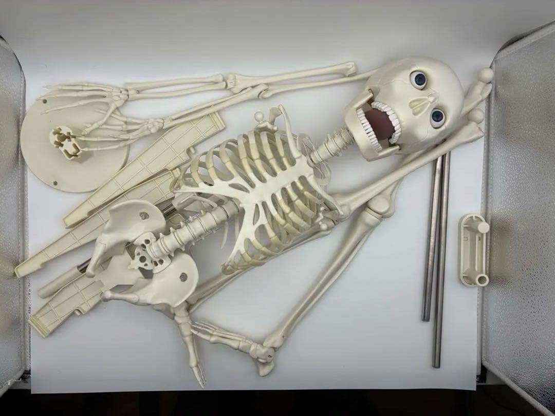 デアゴスティーニ　おしゃべりガイコツ　ホネッキー1～70