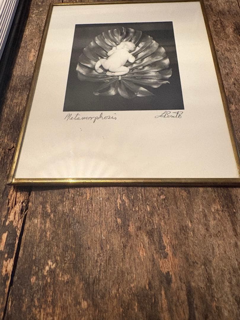 Larry LaBonte写真集+直筆サイン入額装写真アート本 - メルカリ