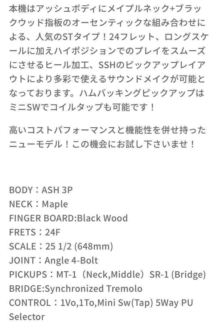 シェクター SCHECTER エレキギター ストラト 美品 付属品多数