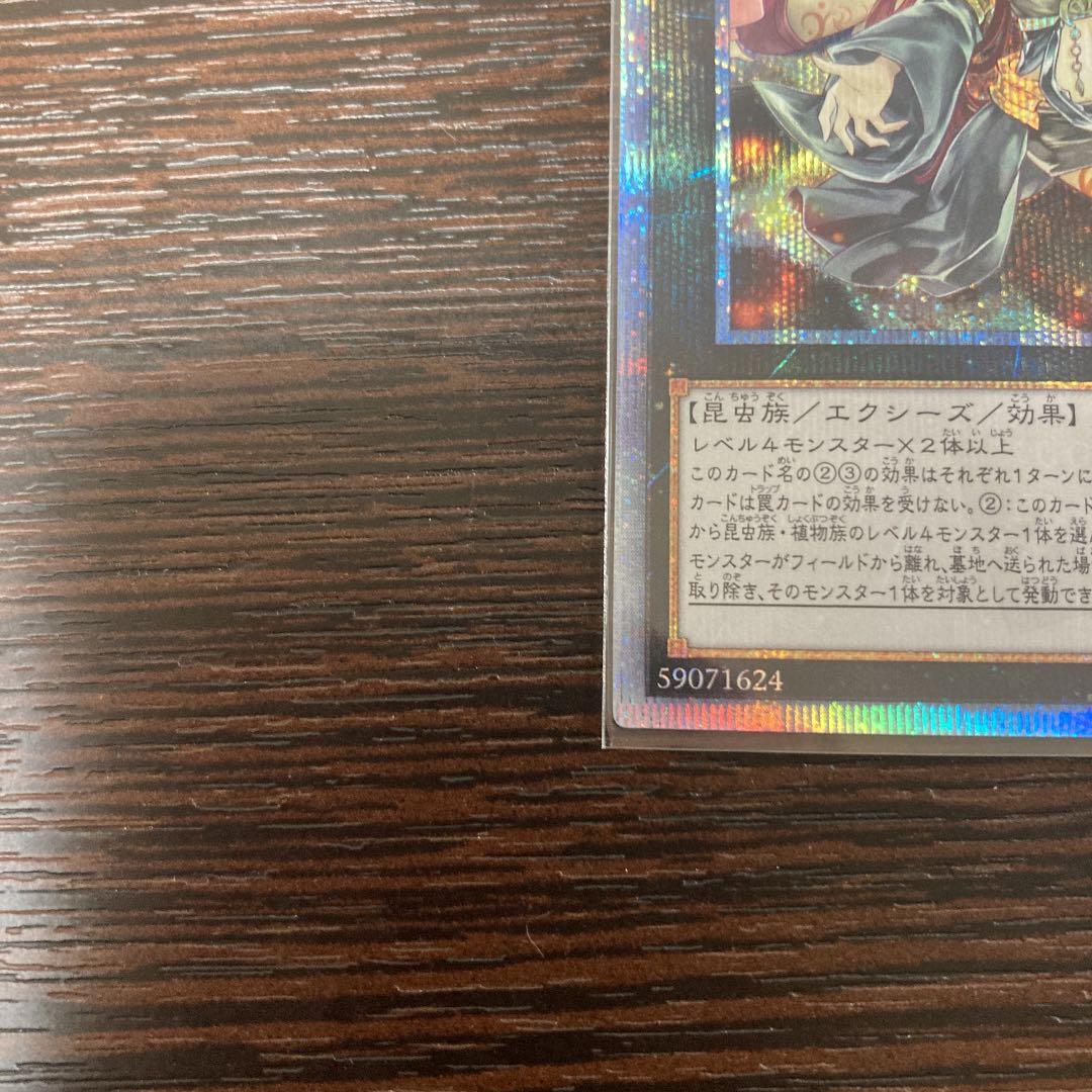 遊戯王 アロメルスの蟲惑魔 20th シークレットレア