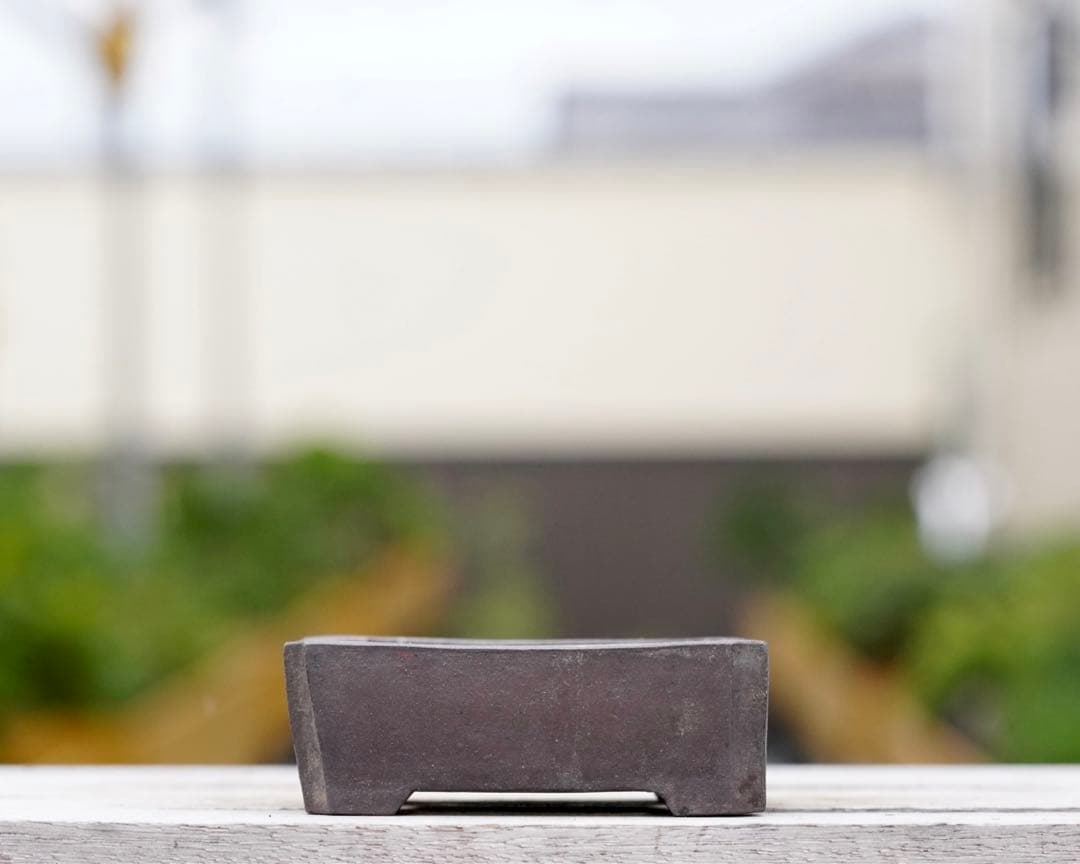 亦盆栽」初代東福寺 隅入切足 長方鉢 小品盆栽鉢 初代東福寺