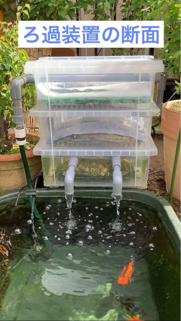 DIY】三段式外部ろ過装置（個人製作濾過装置）【メダカ・金魚・錦鯉の