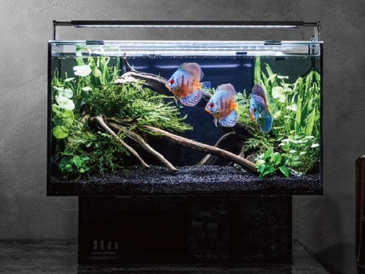 ジェックス グラステリアAGS OF－450 - メルカリ