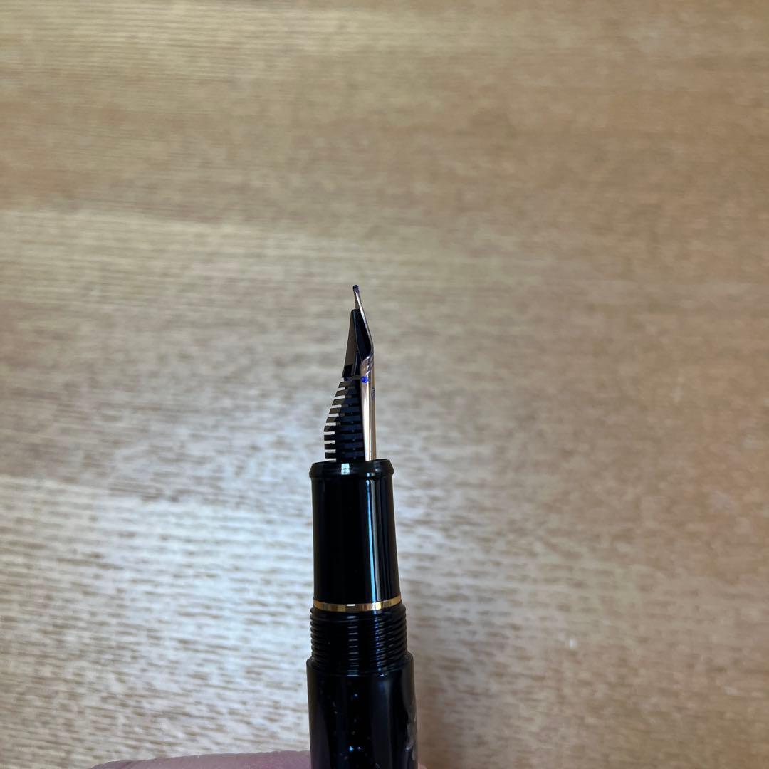 大幅お値下げ！PLATINUM #3776 万年筆 螺鈿 桜 - メルカリ