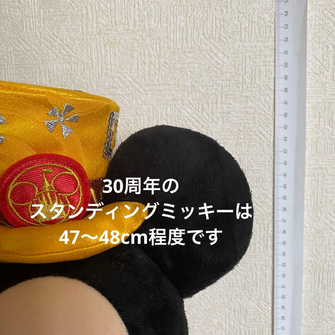 ディズニーリゾート 40周年 ぬいぐるみ ミッキー 70cm 巨大 限定 レア