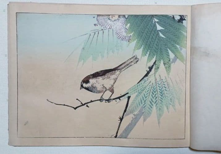 稀省亭版画花鳥画帖12図柄入り渡辺省亭画、明治後期頃