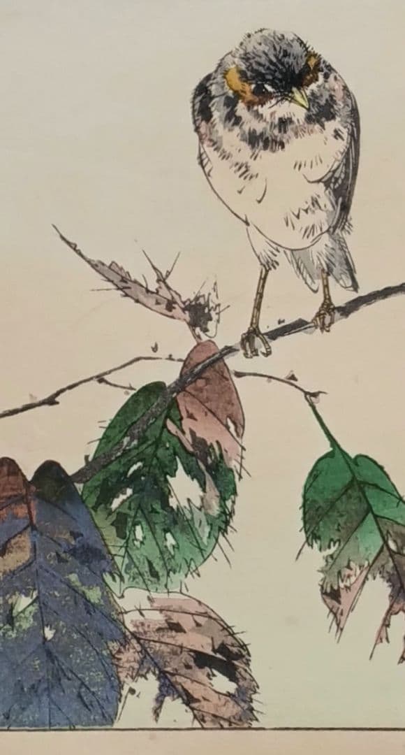 稀省亭版画花鳥画帖12図柄入り渡辺省亭画、明治後期頃