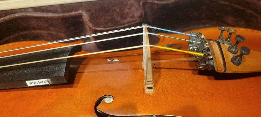 I*i様 ヴァイオリン　バイオリン　カルロジョルダーノ　vs2 4/4