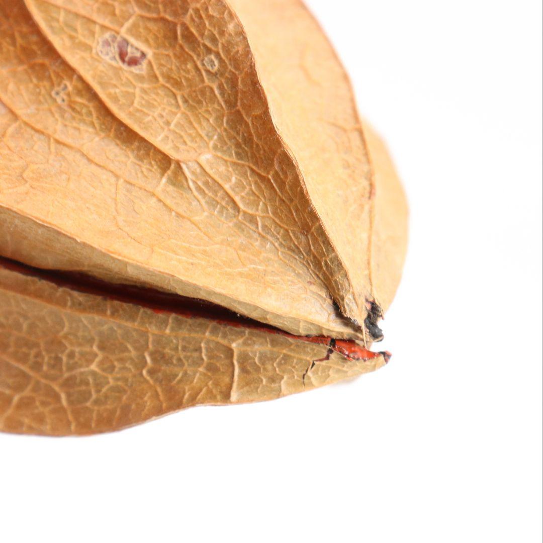 三代 中村尚濤済(喜太郎) 鬼灯 香合 乾漆 茶道具 共箱共布　rC799　N4