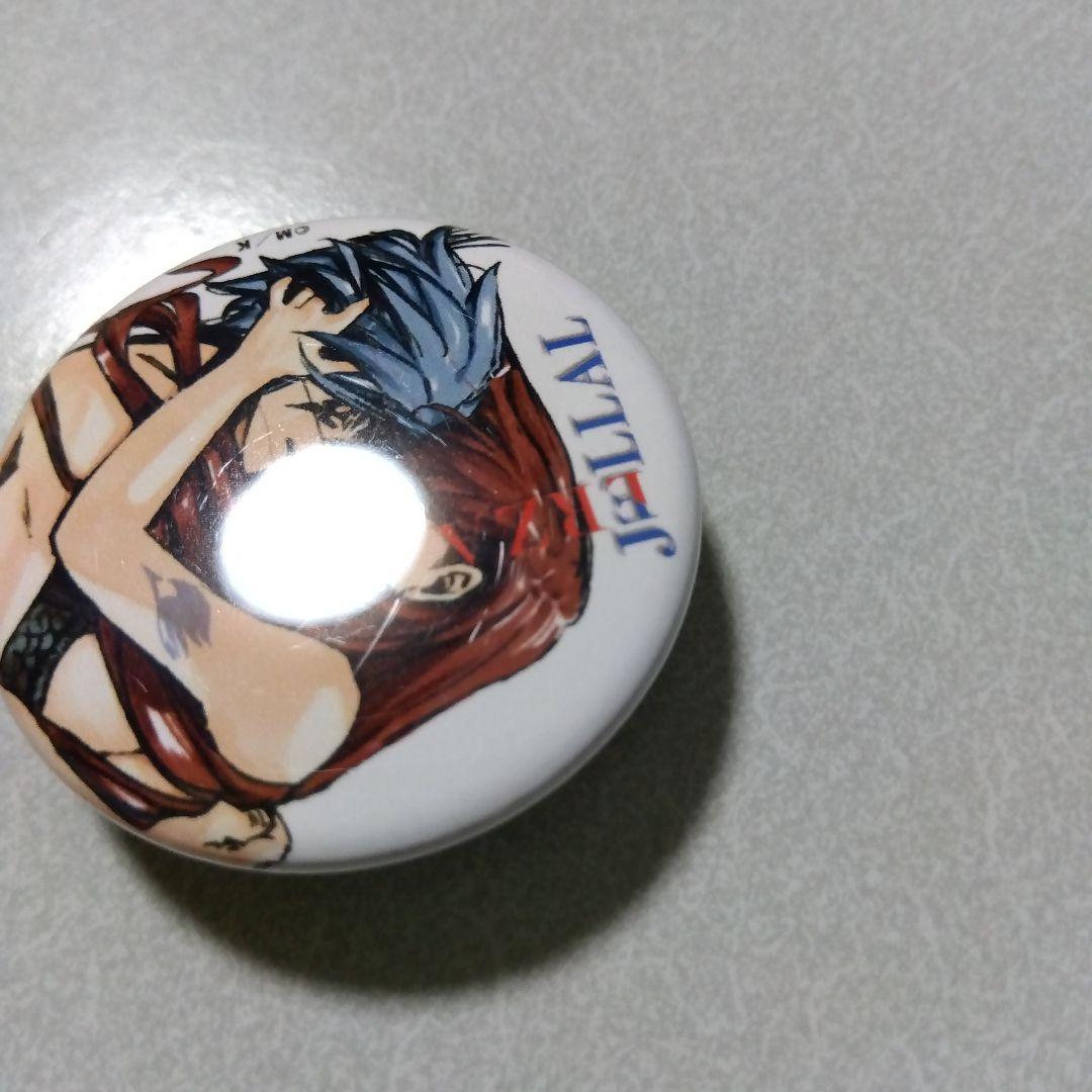 フェアリーテイル ガチャトク 缶バッジ エルザ＆ジェラール