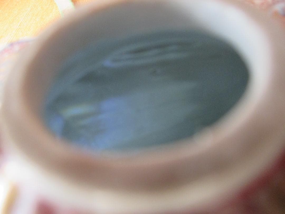 銚子 酒注ぎ 酒器 九谷赤絵 212