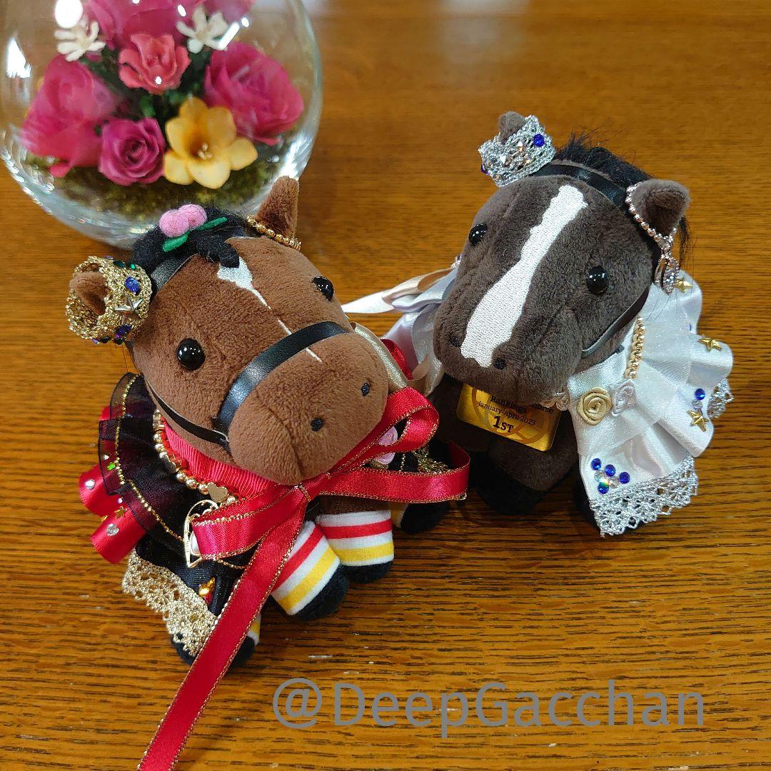 リバティアイランド アイドルホースドレス・マント Sサイズ - メルカリ