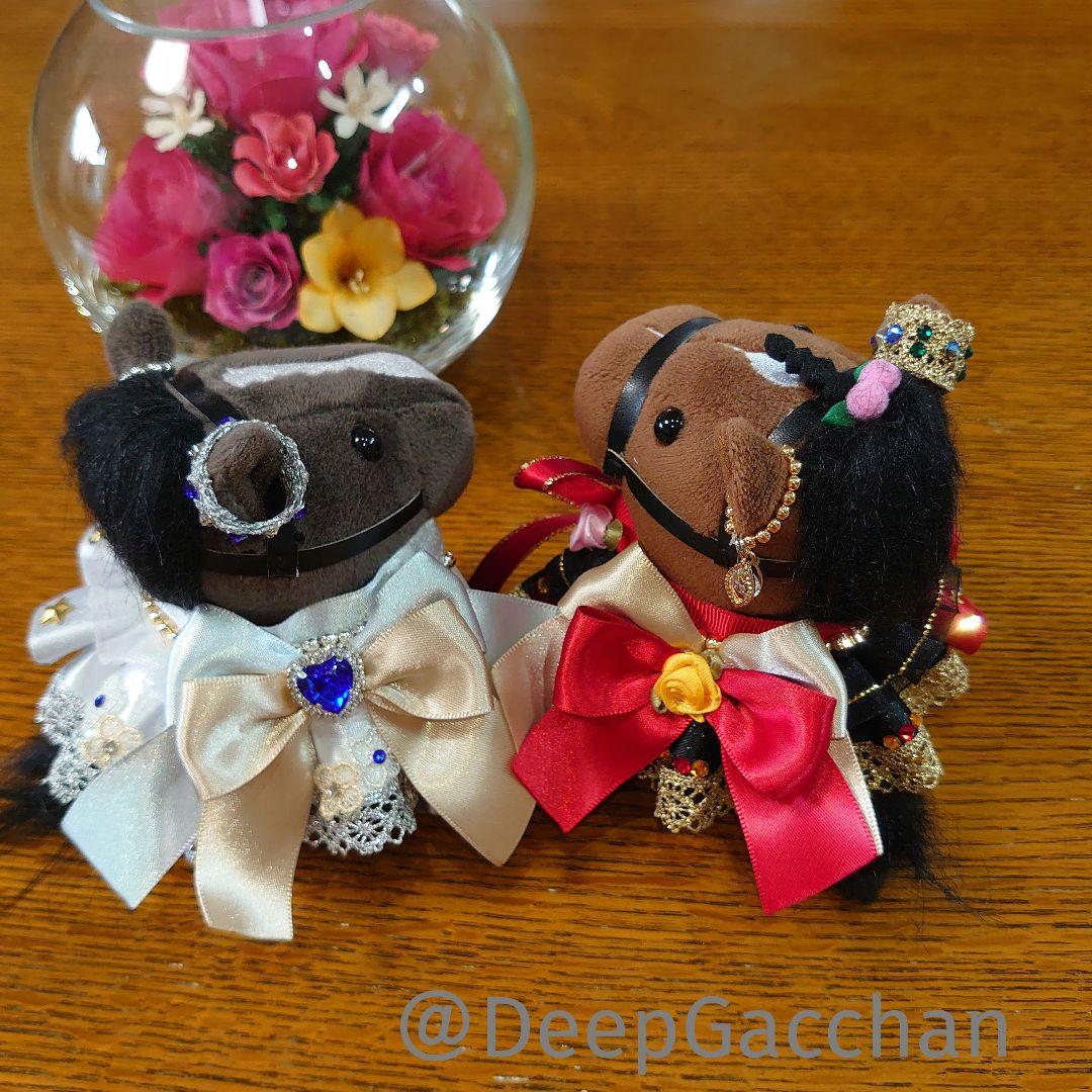 リバティアイランド アイドルホースドレス・マント Sサイズ - メルカリ