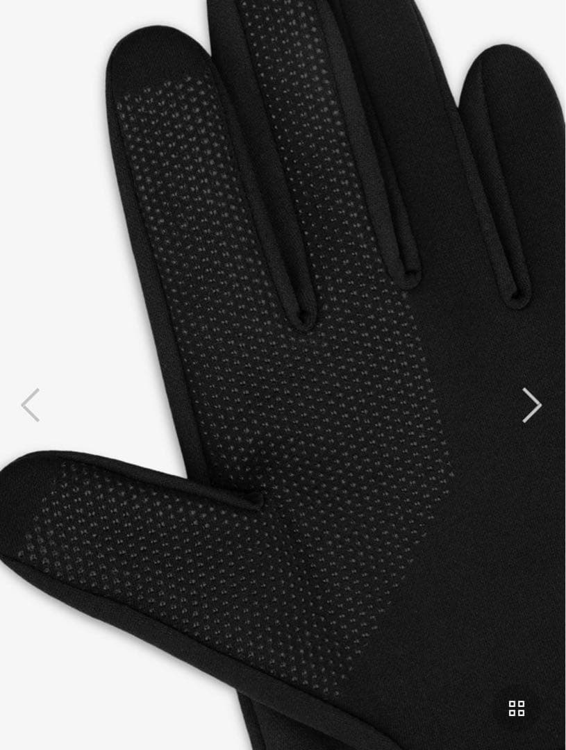 ノースフェイス エメレオンドレ イーチップグローブ コラボ グローブ