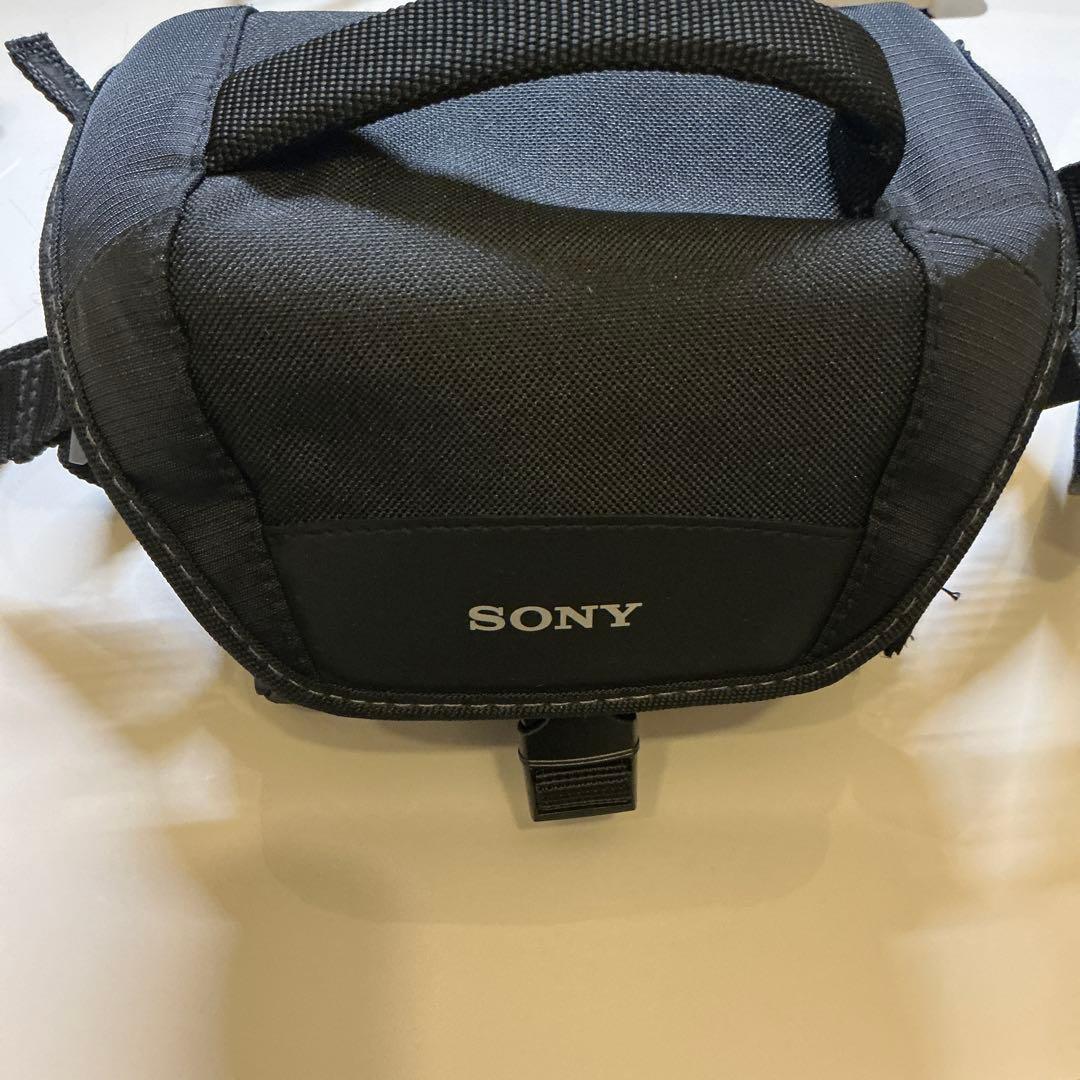 お得なセット Sony ソニー Handycam FDR-AX45 4K本体