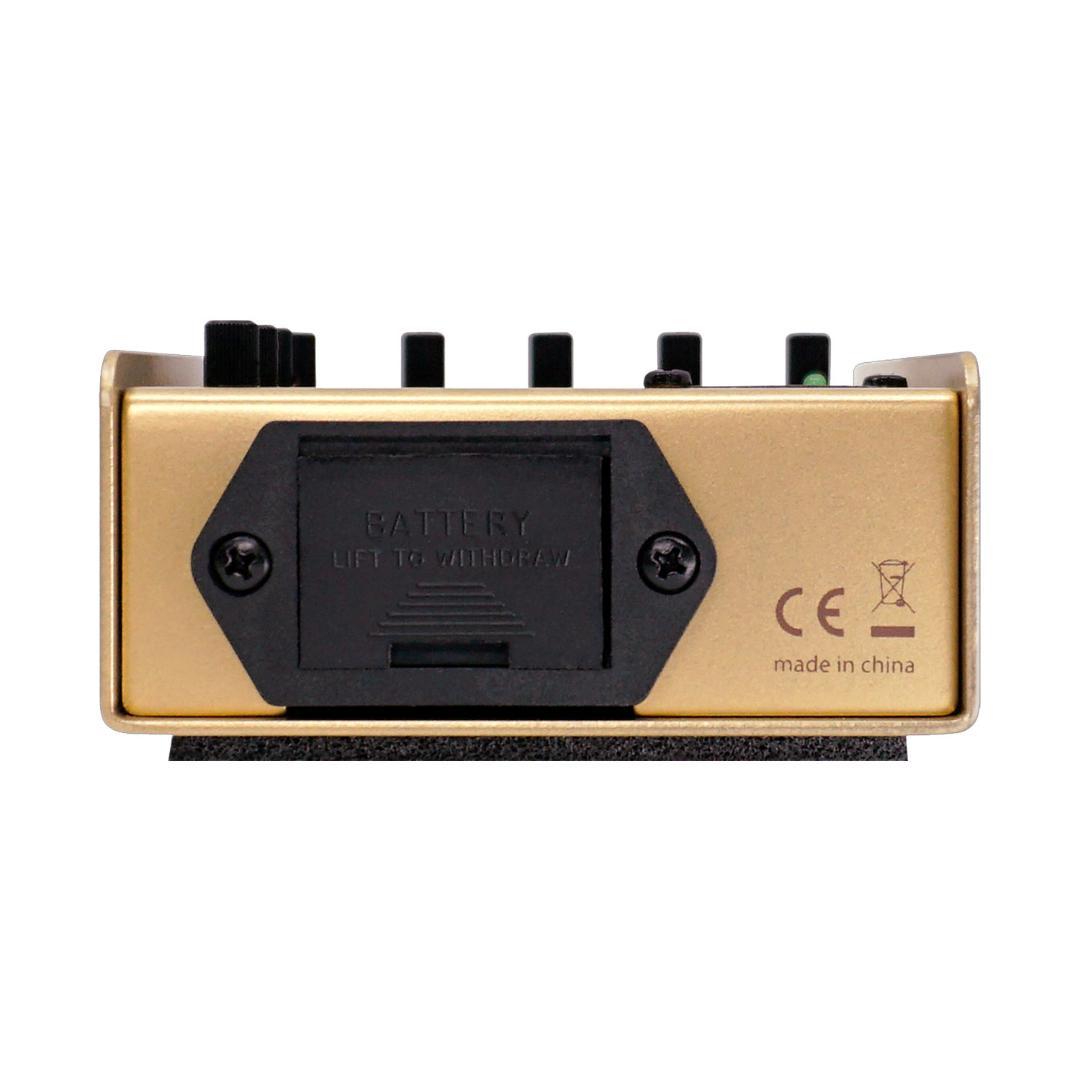 ギター L.R.Baggs 50th Anniversary Gold Para DI