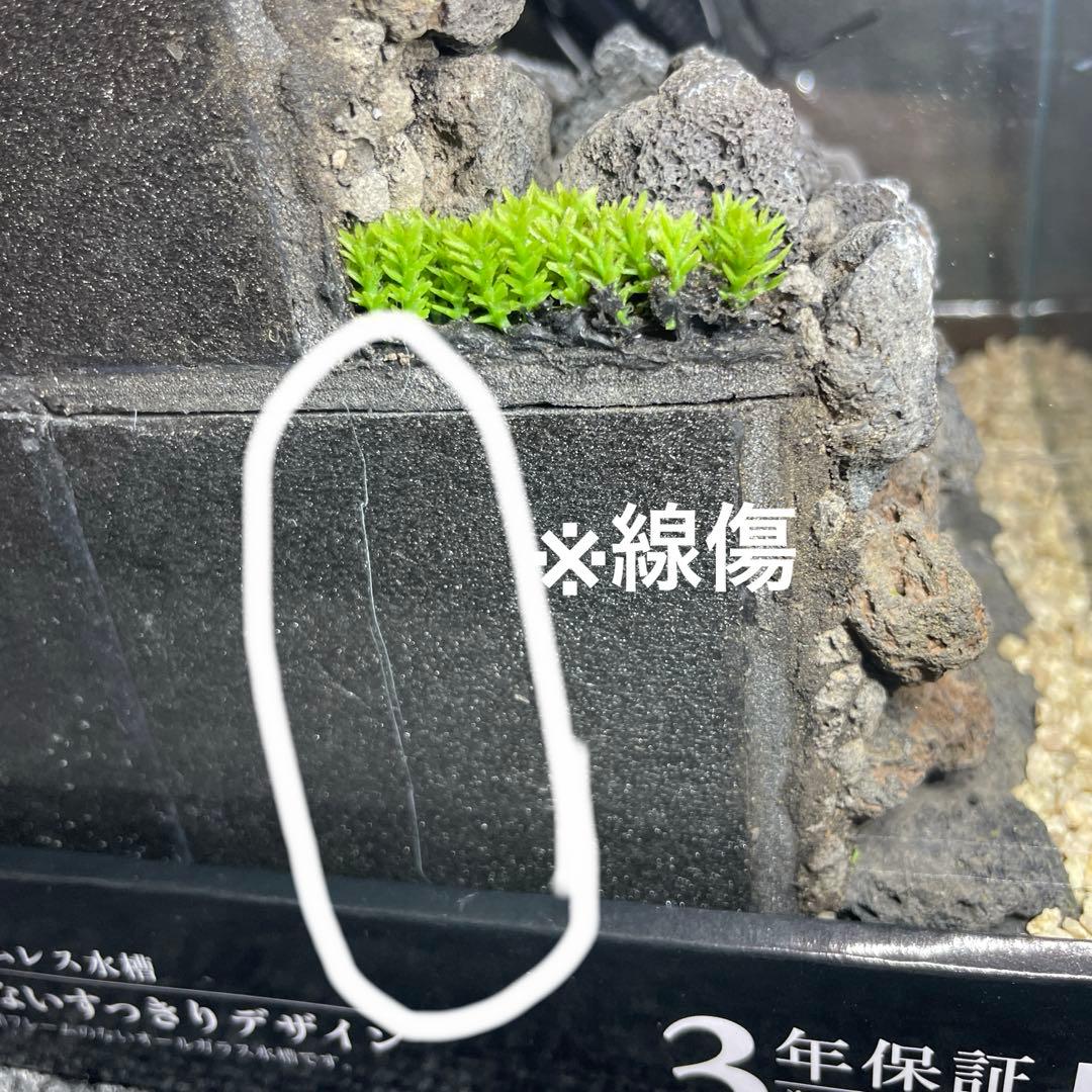 アクアテラリウム 溶岩石 No.3 ※傷あり特価※