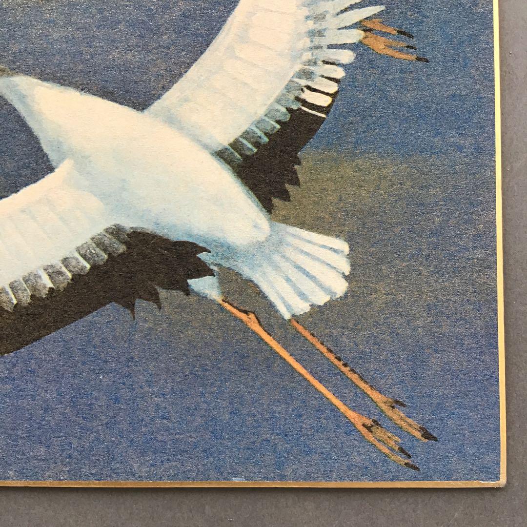 色紙 夫婦鶴 佳山作 複製と推定