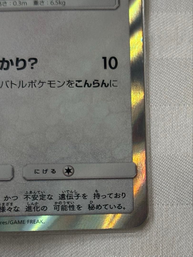 ポンチョを着たイーブイ ブラッキー プロモ 141/SM-P