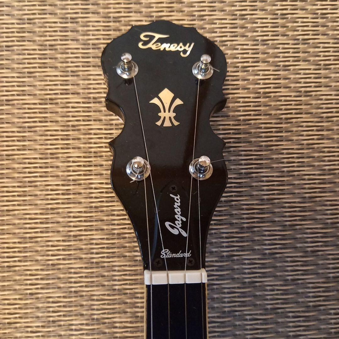 Tenesy5弦バンジョー ケース付き