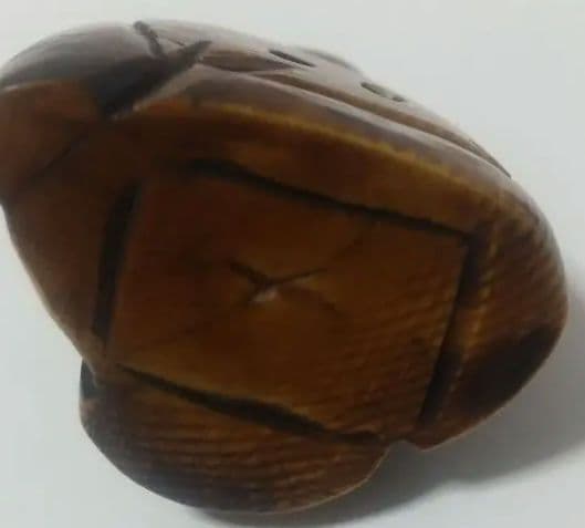 江戸根付 骨董 2種 天然素材 在銘