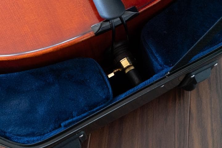 Rani スズキ 4/4サイズ チェロ/弓セット