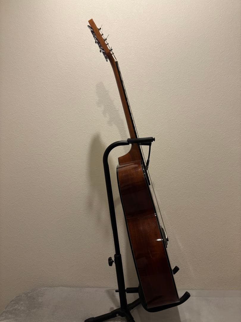 Morris F-01 Ⅱ NAT 比較的綺麗