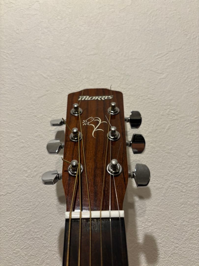 Morris F-01 Ⅱ NAT 比較的綺麗