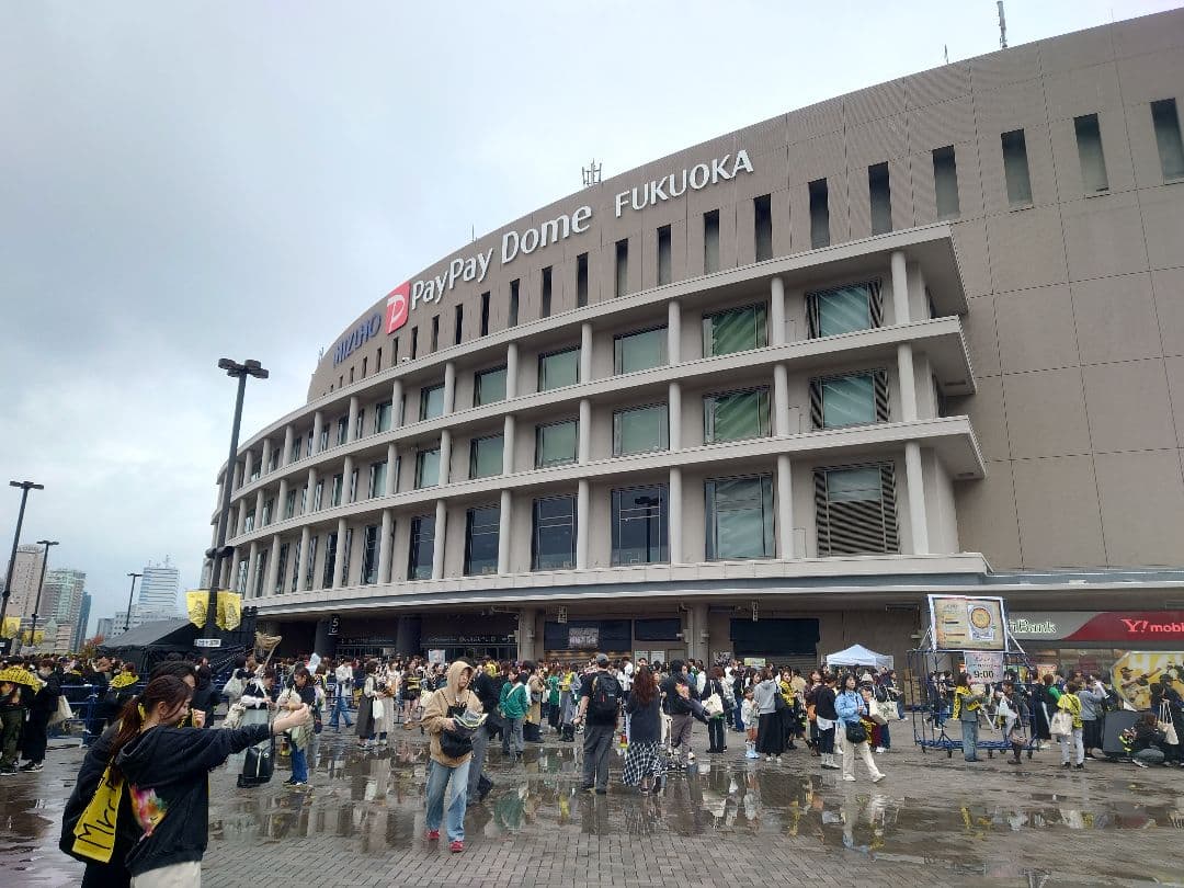 Mrs.GREEN APPLEセット