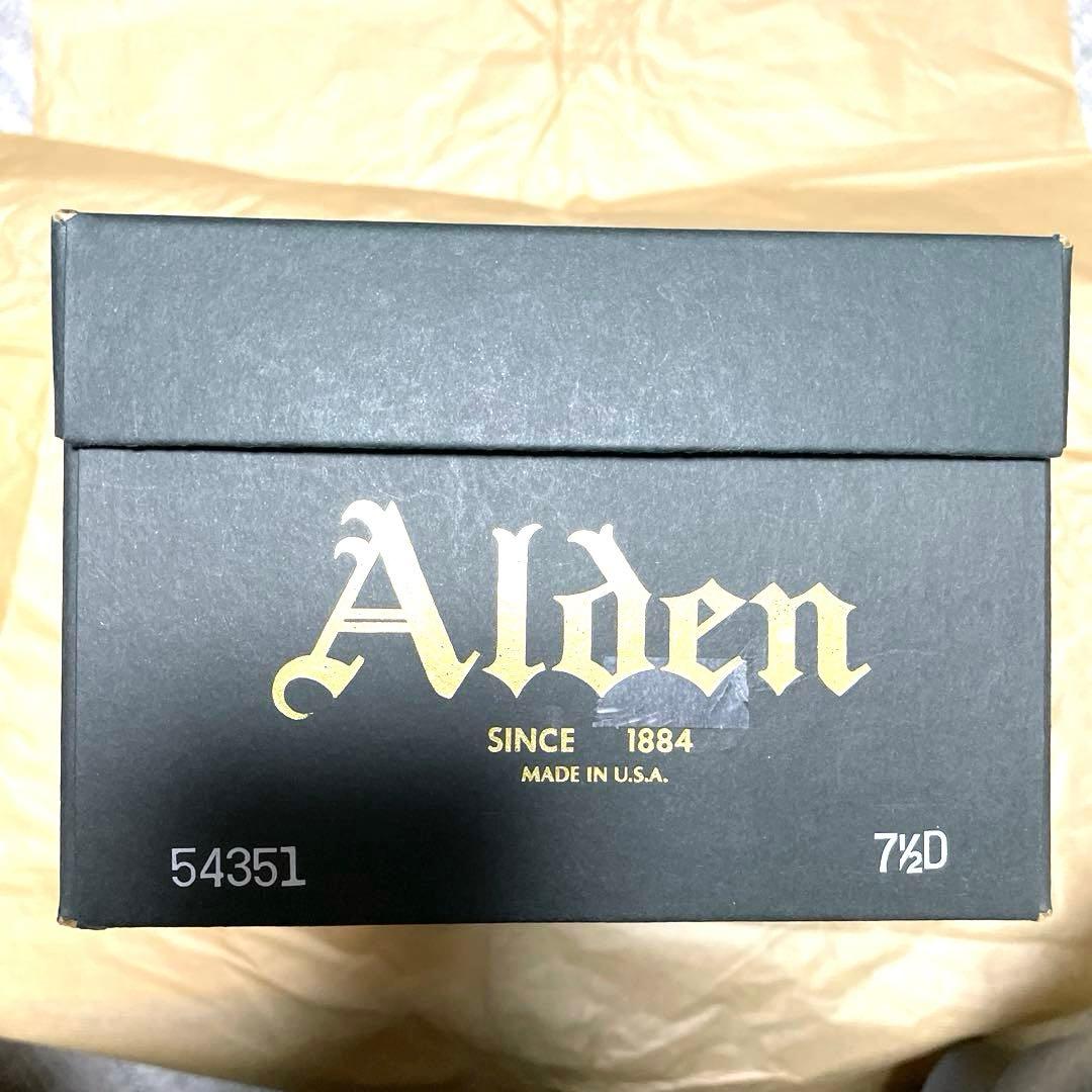 【未使用品(新品)】Alden Vチップ ダークブラウン ゴートスウェード