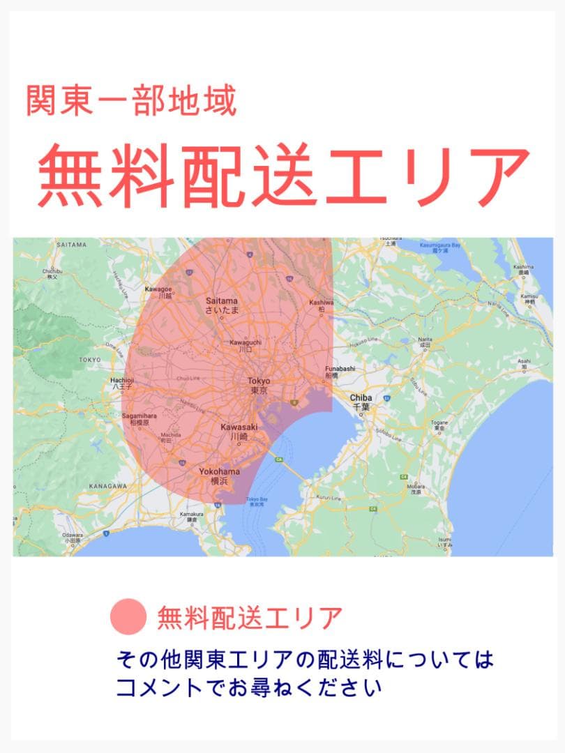 2019年 ビッケ 大人気ブリヂストン 子供乗せ電動アシスト自転車 H2974