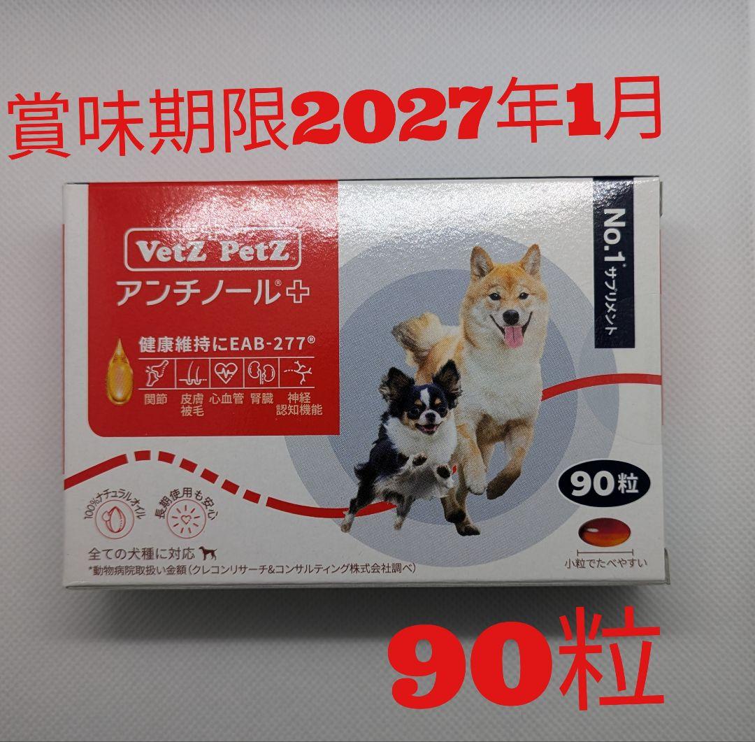 アンチノール 90粒