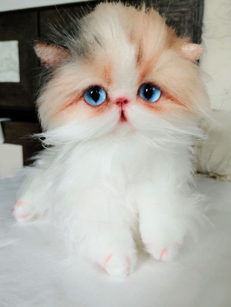 ハート模様❤子猫のドロップちゃん❤エキゾチック♡アートドール